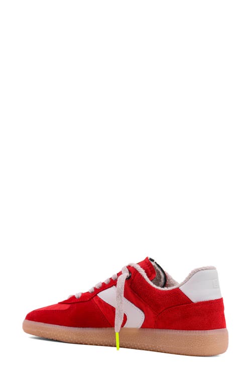 Shushop Sylvia Sneaker