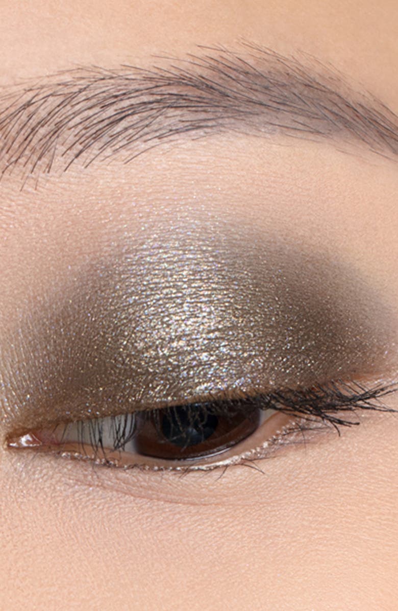 Chantecaille Luminescent Eye Shades, Alternate, color, Rhinoceros