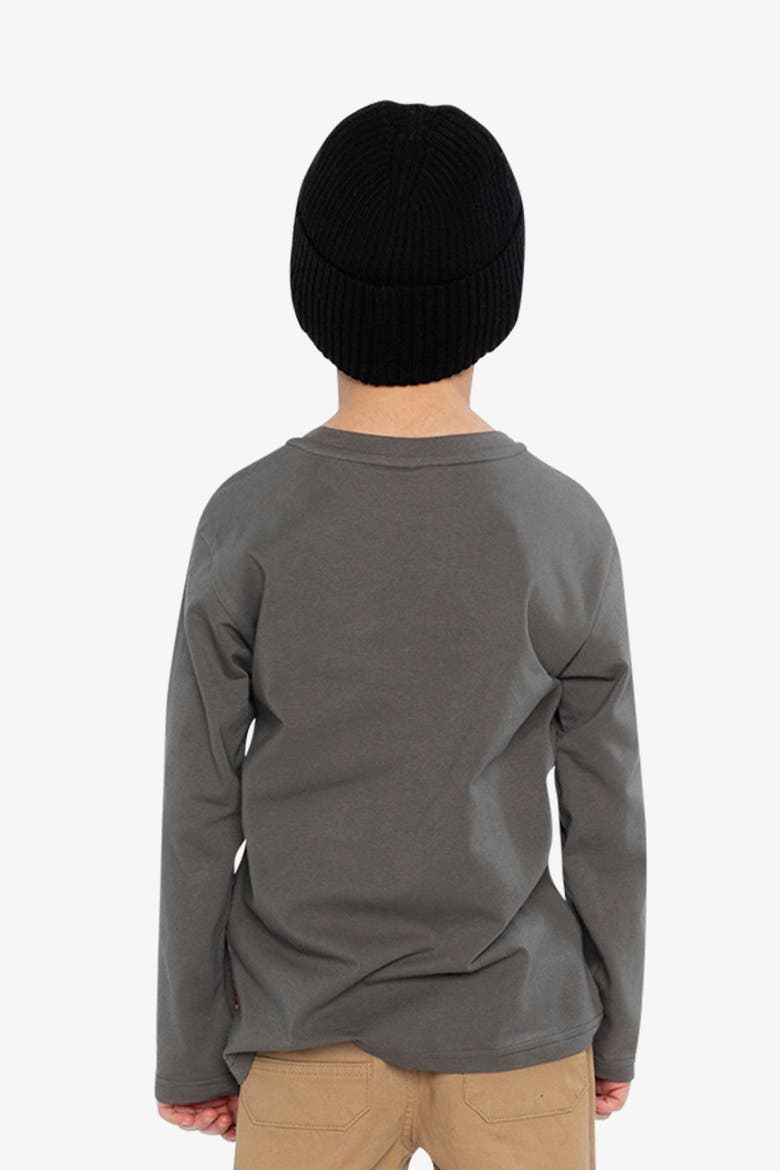 Organic Cotton Crew Neck Skate Bear Long Sleeve T-Shirt, Alternate, color, Dark Grey