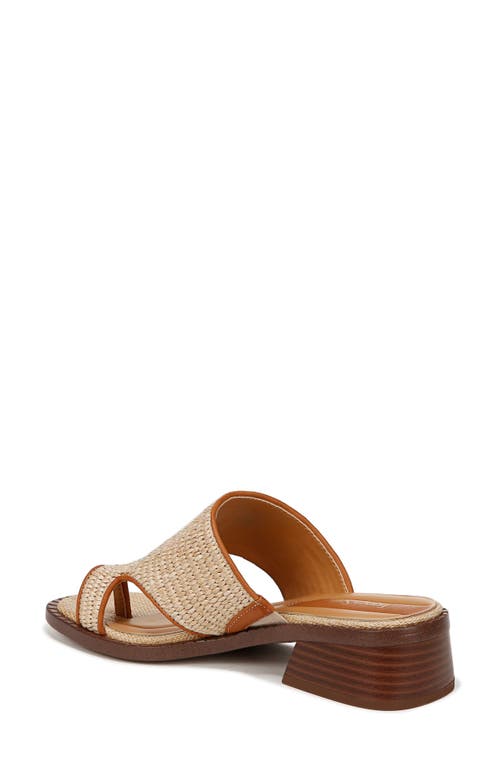 Franco Sarto Sia Slide Sandal In Brown