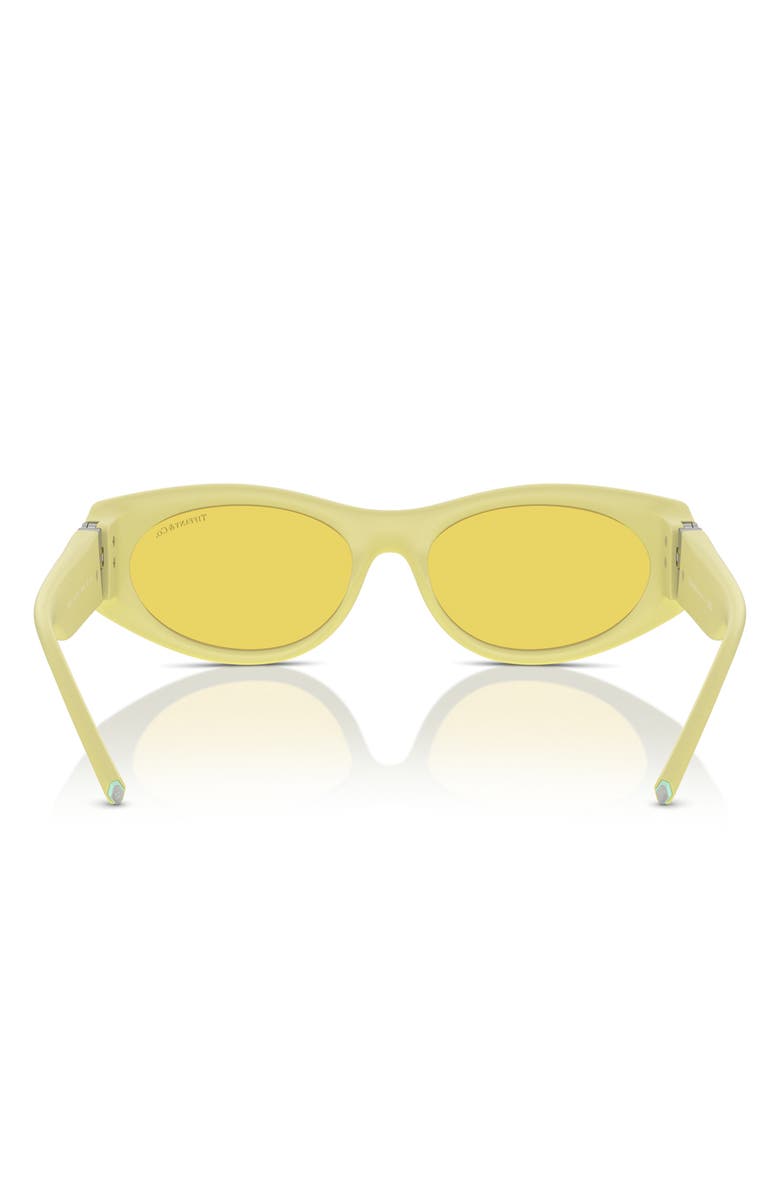 Tiffany & Co. 55mm Oval Sunglasses, Alternate, color, 