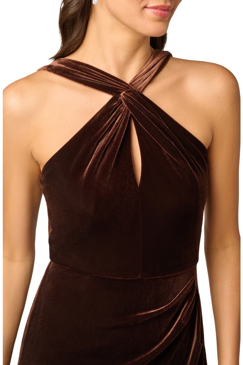 Velvet Keyhole Halter Mermaid Gown, Alternate, color, DARK BROWN