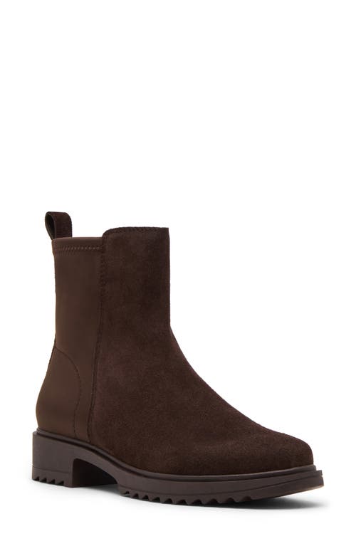 Blondo Cammie Waterproof Bootie in Java Suede  product