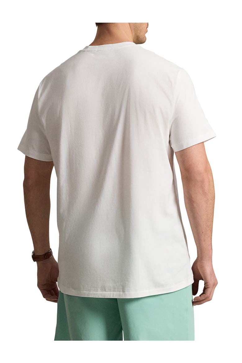 Big & Tall Summer Bear T-Shirt, Alternate, color, WHITE
