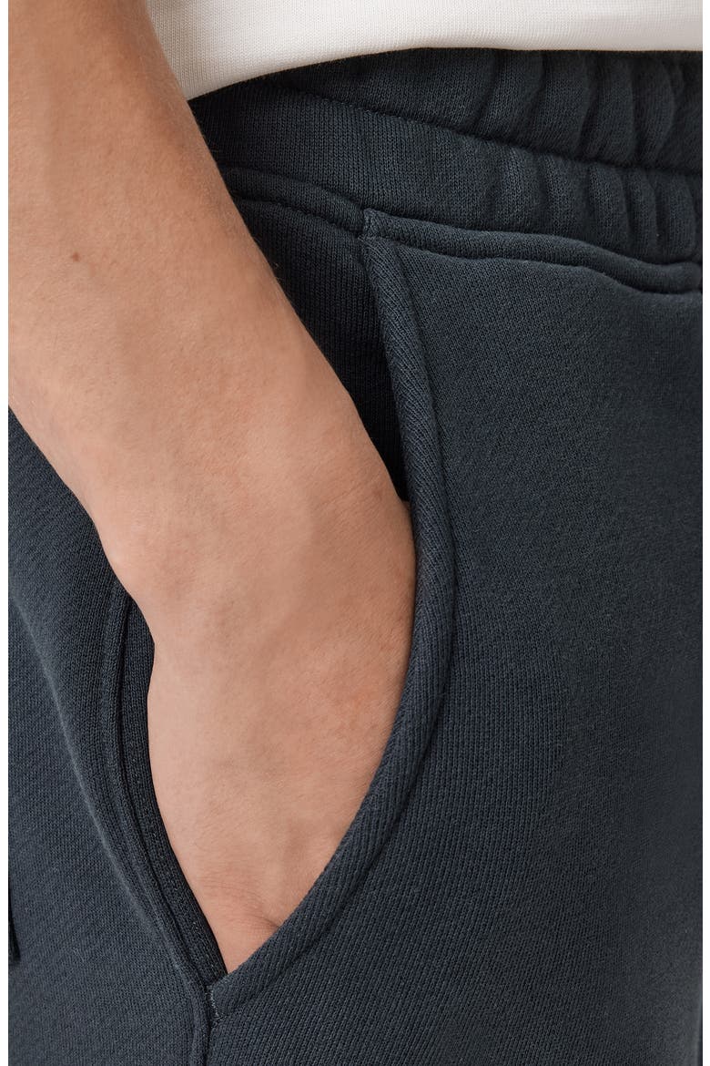 Haven Cotton Joggers, Alternate, color, MOONSTONE BLUE