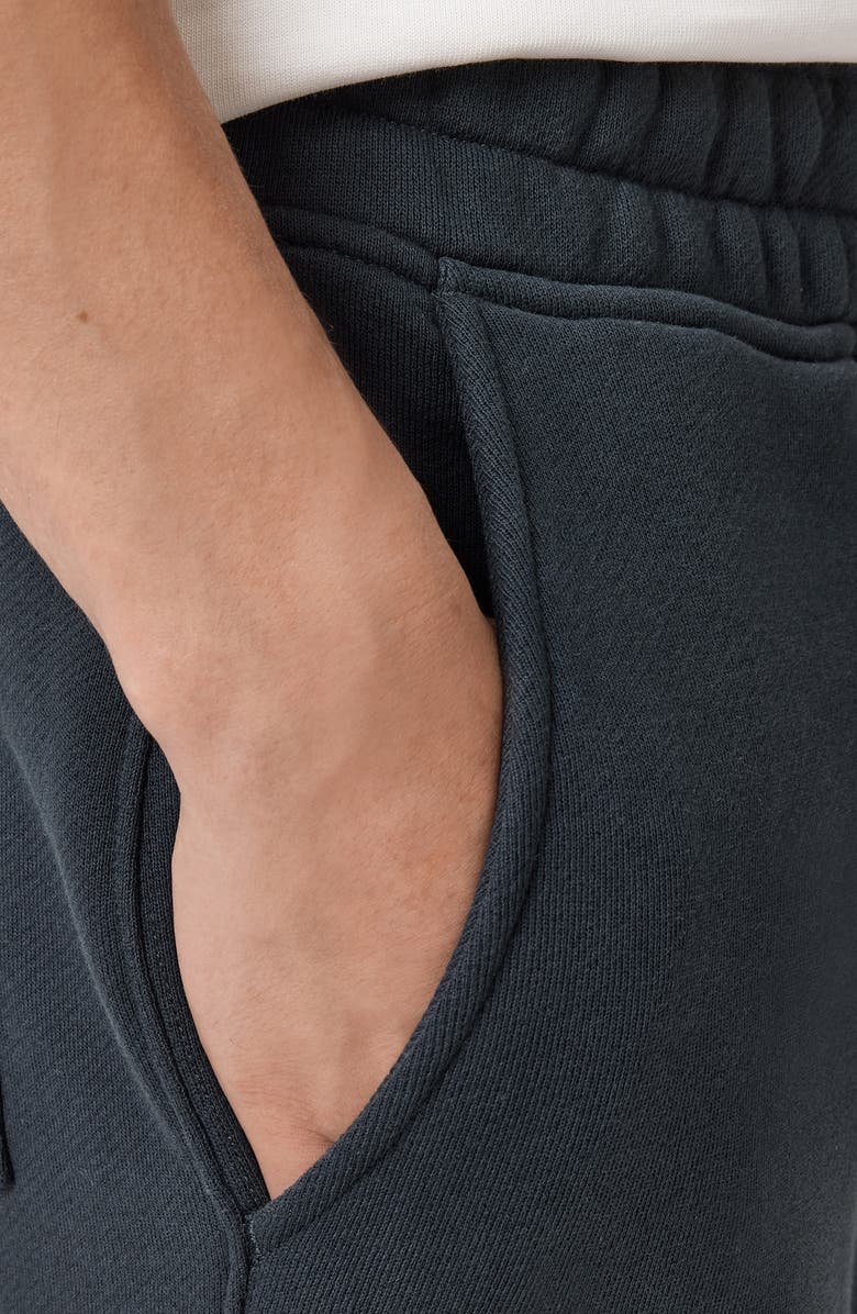 AllSaints Haven Cotton Joggers, Alternate, color, Moonstone Blue