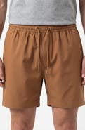 BURNSIDE Hybrid Stretch Shorts