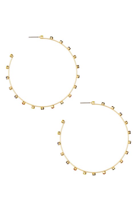 Rainbow Crystal Hoop Earrings