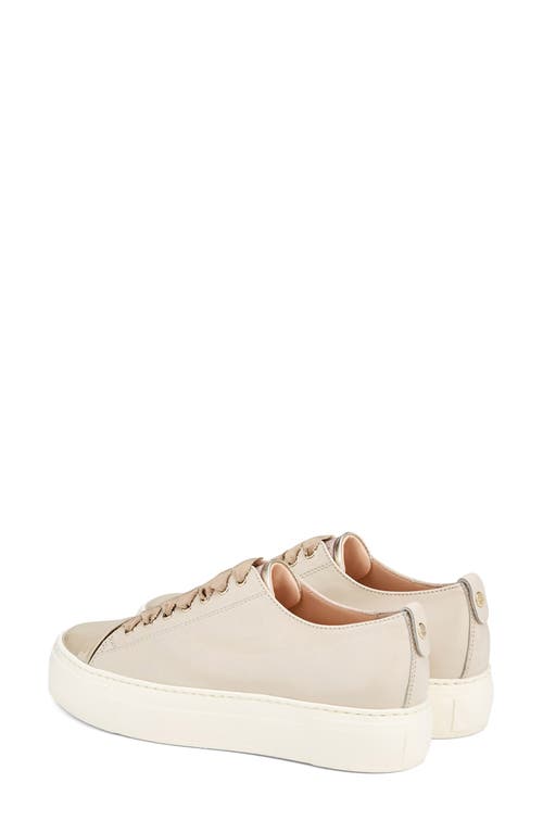 Agl Attilio Giusti Leombruni Agl Mollie Platform Sneaker In Talc-suga-sand-milk