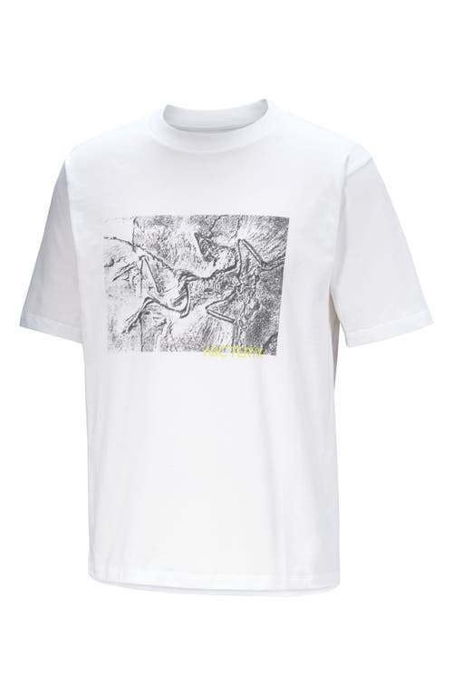 Arc'Teryx Kragg Lithographica Cotton Graphic T-Shirt in White Light 