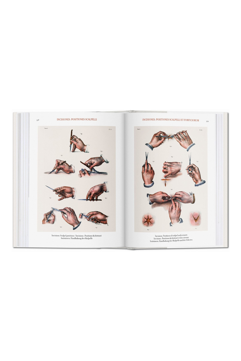 Bourgery Atlas of Human Anatomy and Surgery English French German Book, Alternate, color, multicolor