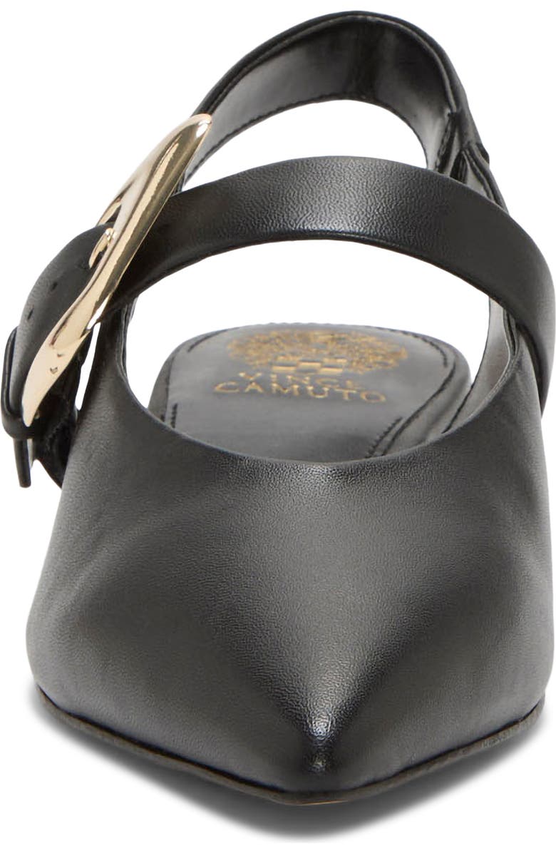 Vince Camuto Amoret Pointed Toe Slingback Flat, Alternate, color, Black