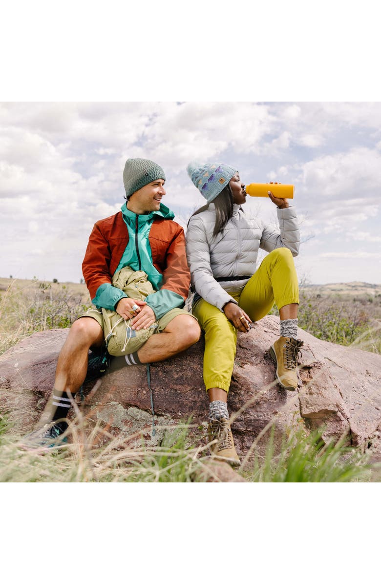 Turtle Fur Moonglade Pom Beanie, Alternate, color, Gray