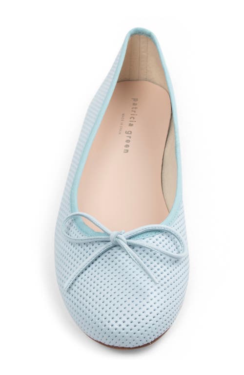 Patricia Green Skim Ballerina Flat In Sky Blue Perforated