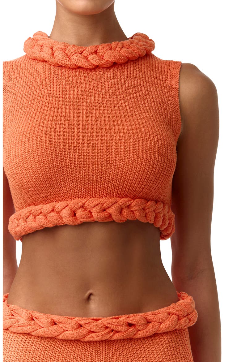 Rib Knit Braid Trim Crop Top, Alternate, color, PEACH SORBET