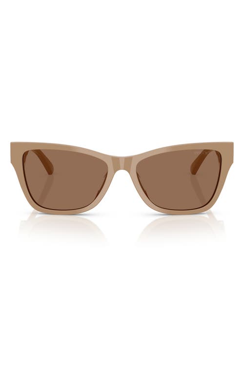 Jimmy Choo 55mm Pillow Sunglasses In Brown