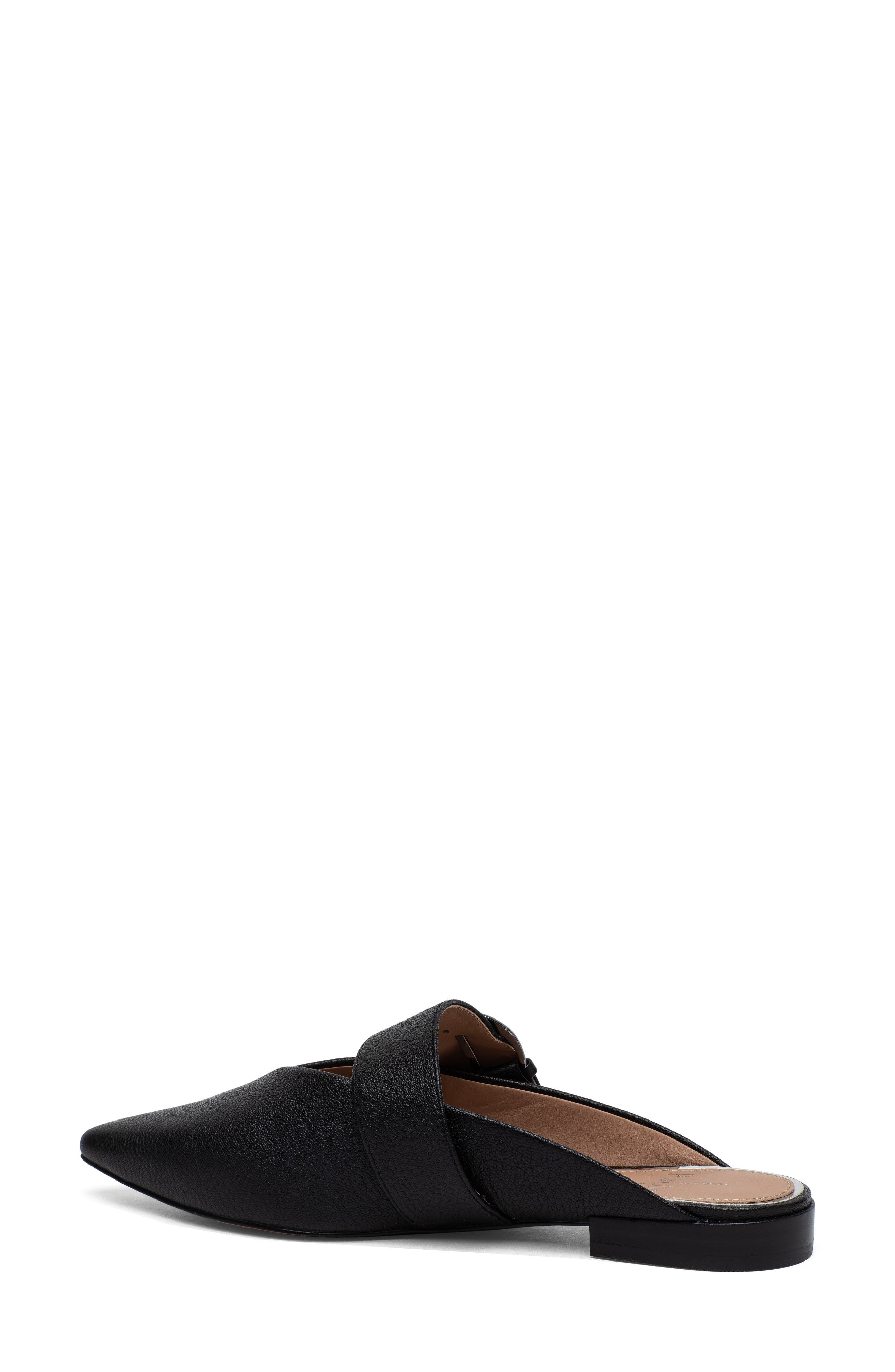 Linea Paolo Athea Pointed Toe Mule, Alternate, color, 