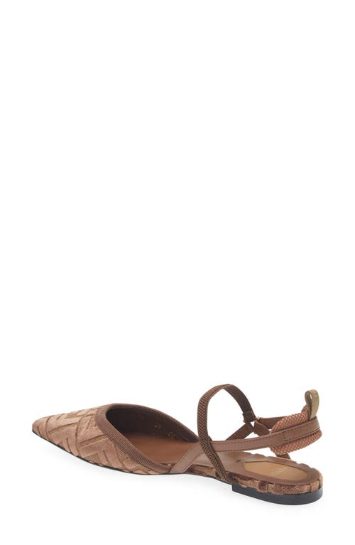 Fendi Women 'colibrì Lite' Brown Flat Slingback With All-over Ff Motif In Cotton Woman In Multi