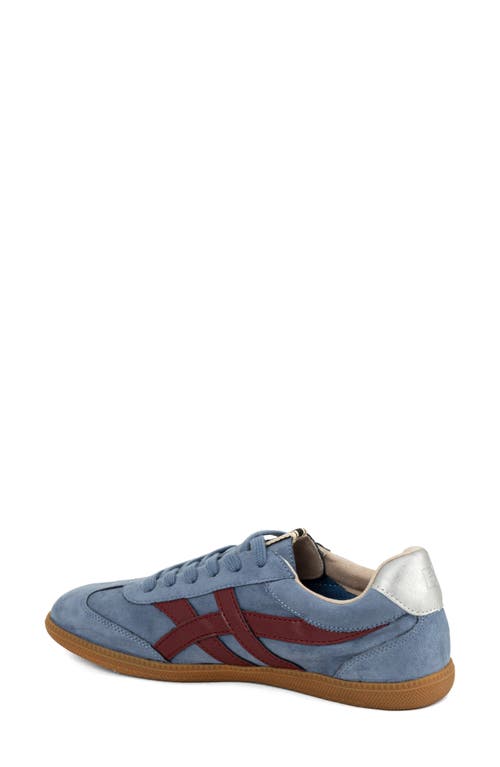 Shushop Sasha Sneaker In Blue