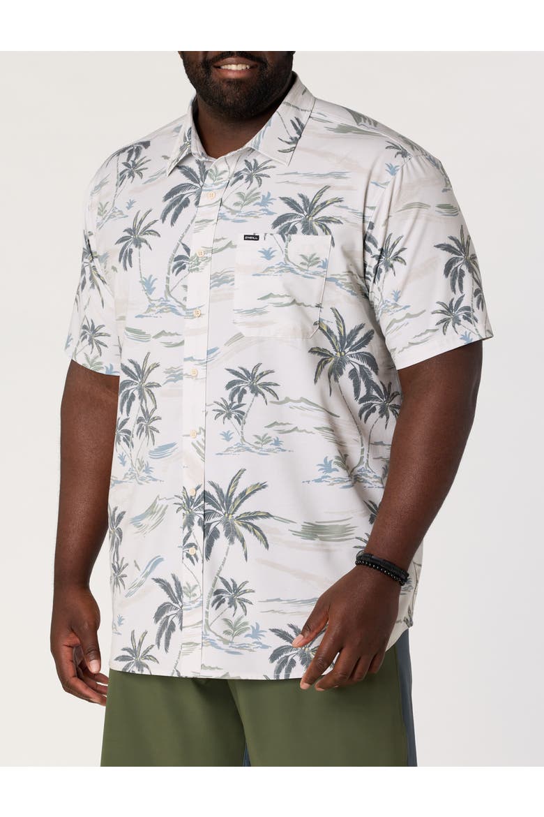Big & Tall Tropical Print Performance Sport Shirt, Main, color, TOFU