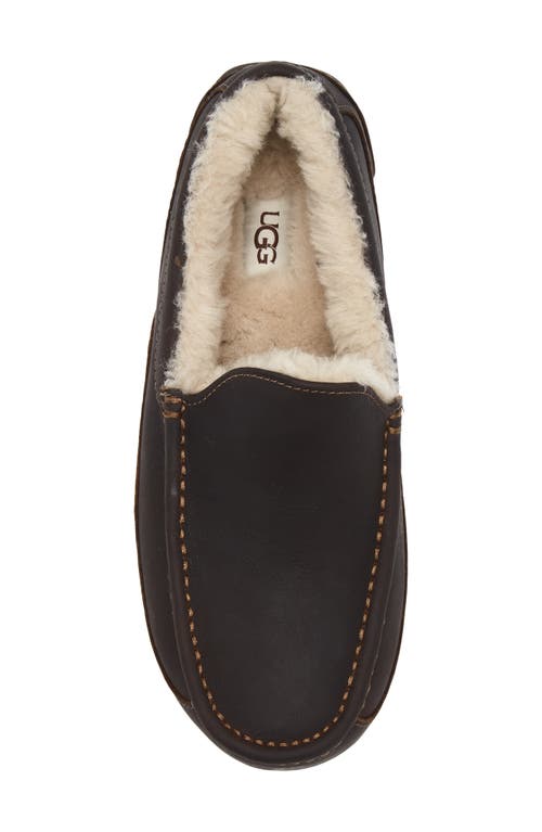 Ugg(r) Ascot Slipper In Brown
