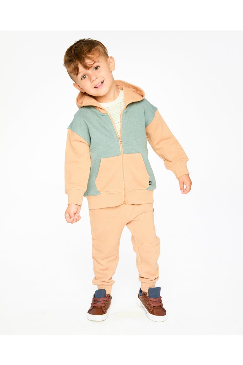 Long Sleeve Full Length Zipper Hooded French Terry Cardigan, Alternate, color, Mint Green