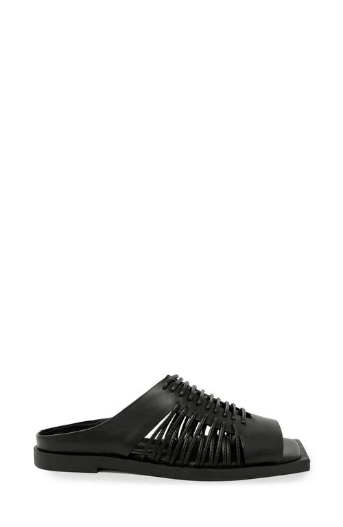 Daniella Shevel Gia Sandal