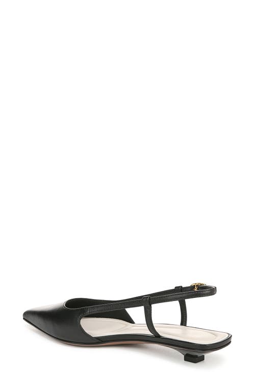 SARTO BY FRANCO SARTO SARTO BY FRANCO SARTO PHEBY SLINGBACK POINTED TOE FLAT 