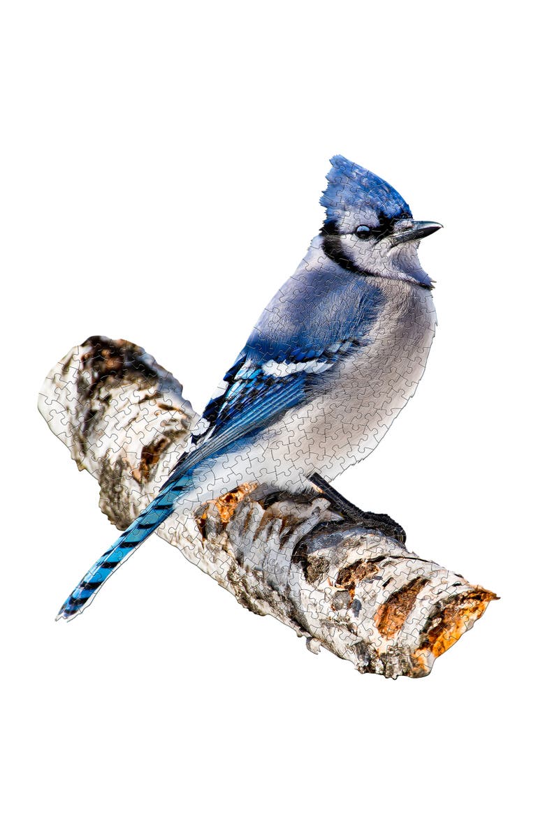 Madd Capp BLUE JAY 300 Piece Jigsaw Puzzle, Alternate, color, Multicolored