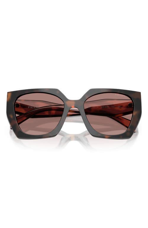 Prada Square-frame Sunglasses In Light Brown