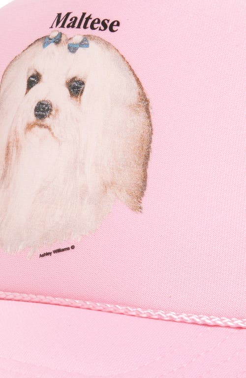Ashley Williams Pink Maltese Trucker Hat In Pink