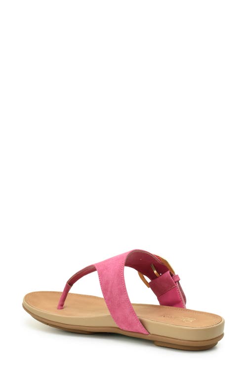 Catherine Catherine Malandrino Martie Thong Toe Sandal