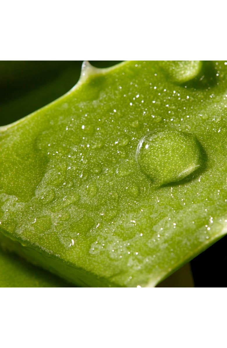 Christophe Robin Intense Hydration Duo Set USD $51 Value, Alternate, color, 