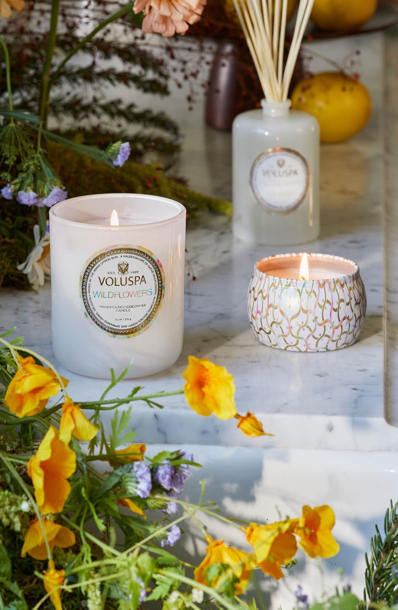 Voluspa Wildflowers Boxed Classic Candle, Alternate, color, Wildflowers