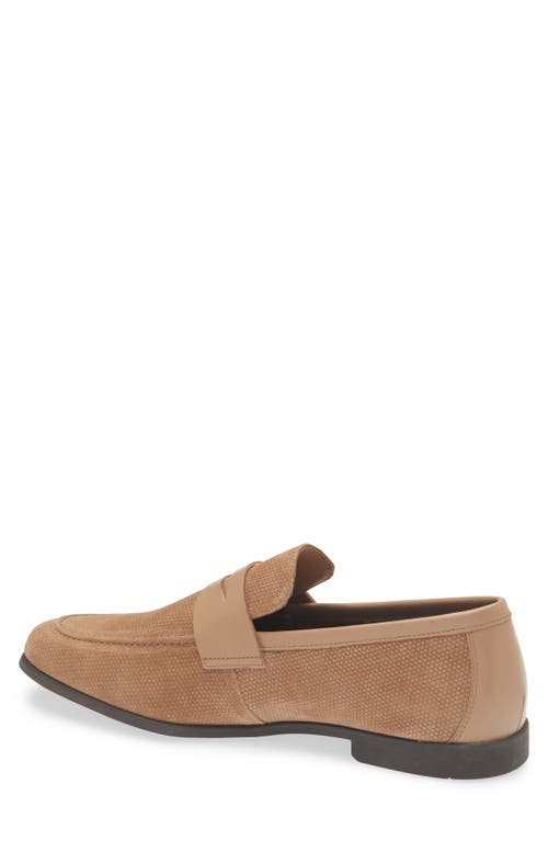 Steve Madden Pomona Penny Loafer In Brown