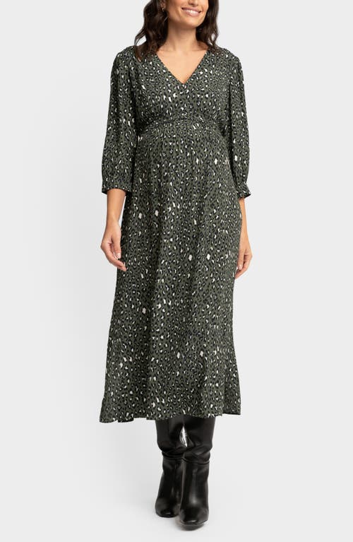 Seraphine Leopard Print Maternity Midi Dress In Multi Black