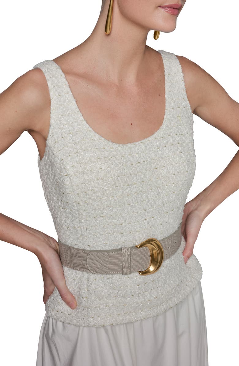 Donna Karan New York Belted A-Line Midi Dress, Alternate, color,