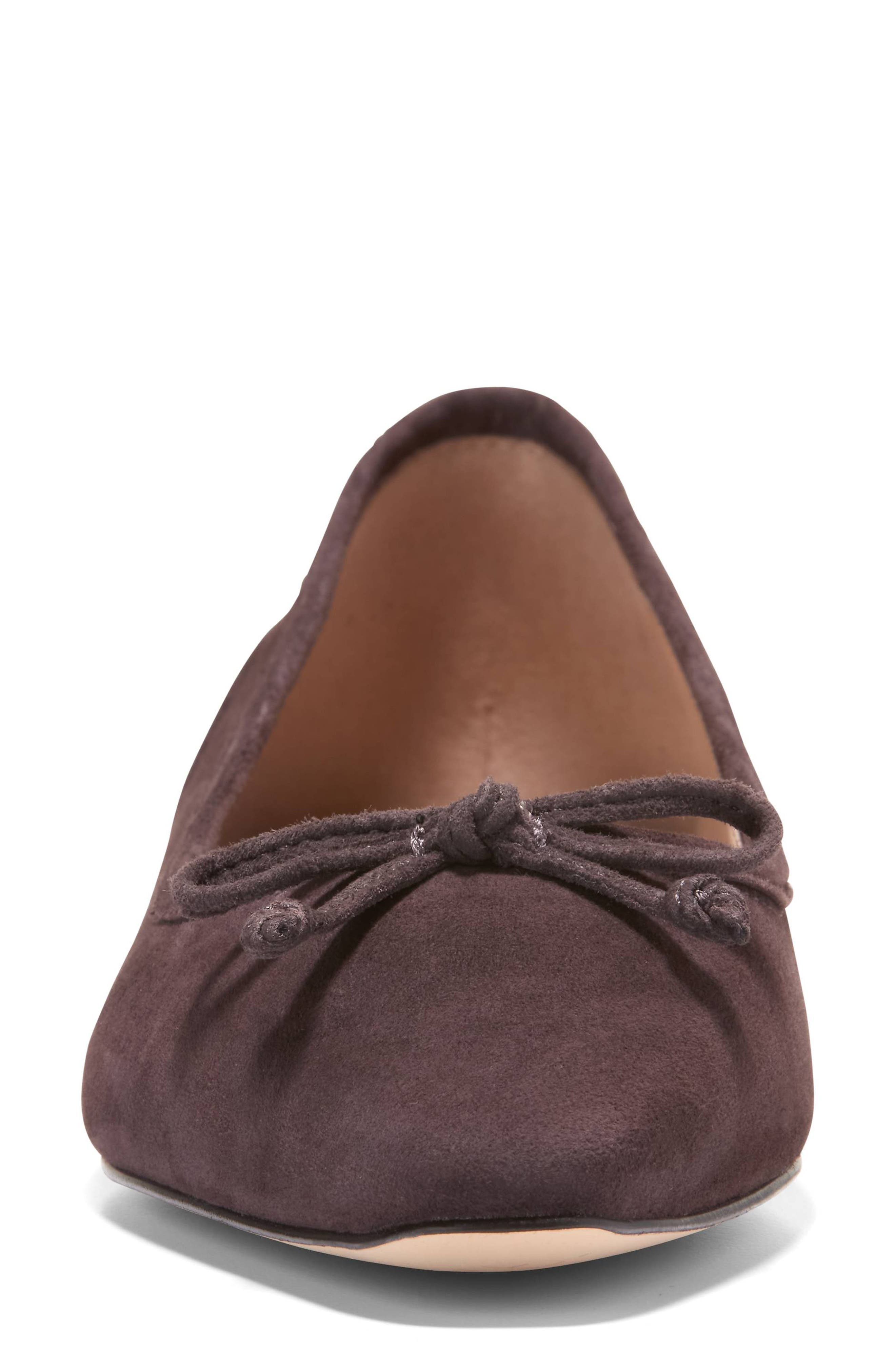 Paget Leather Ballet Flat, Alternate, color, DARK CHOCOLATE SUEDE
