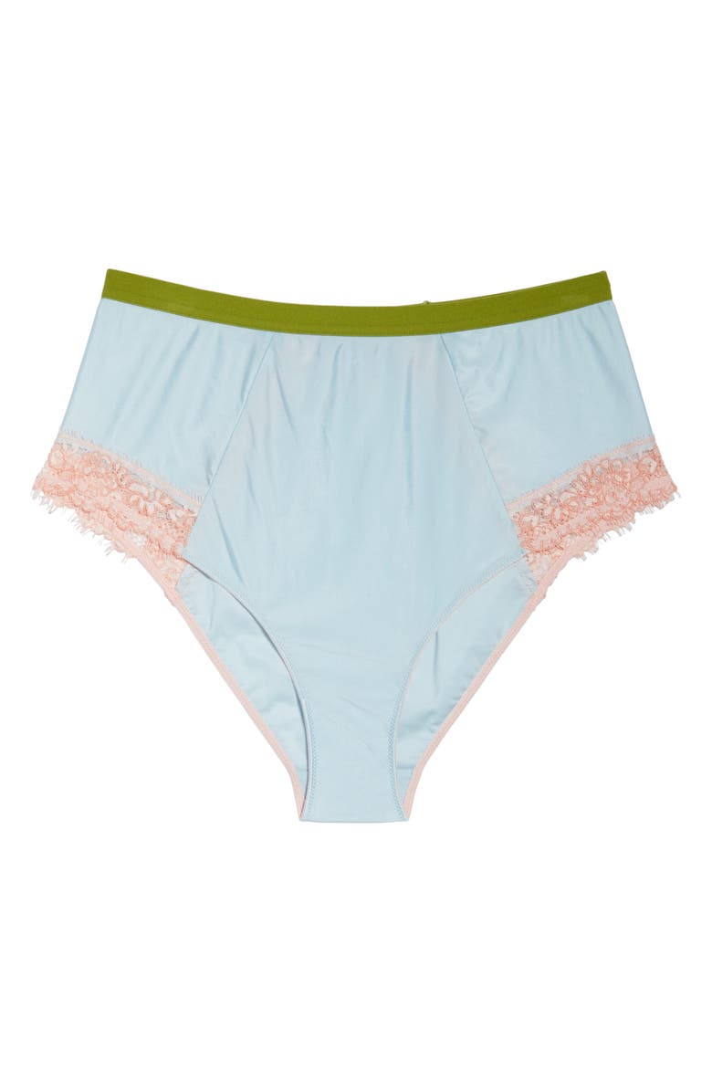Dora Larsen Bonnie High Waist Panties, Alternate, color,