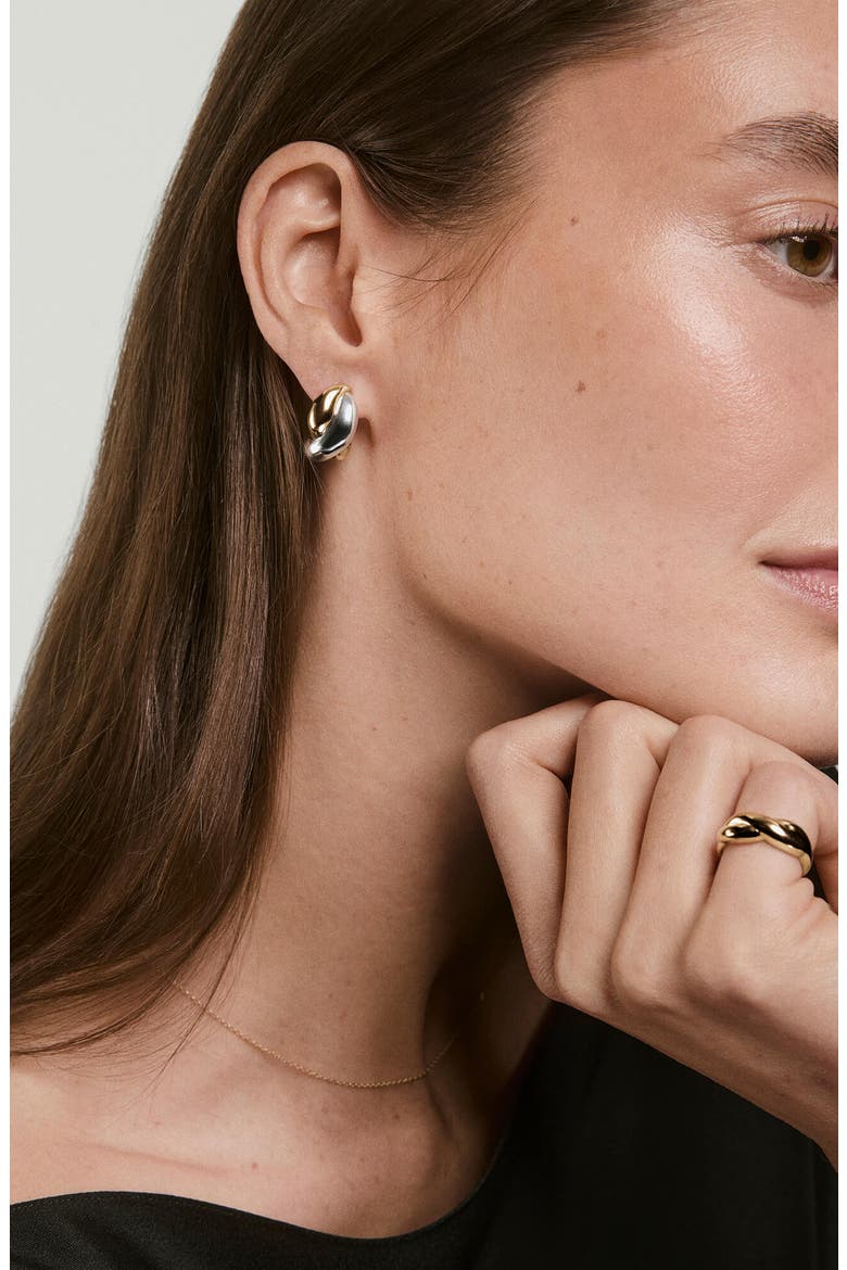 Dôme Brioche Hoops, Alternate, color, Mixed Metal