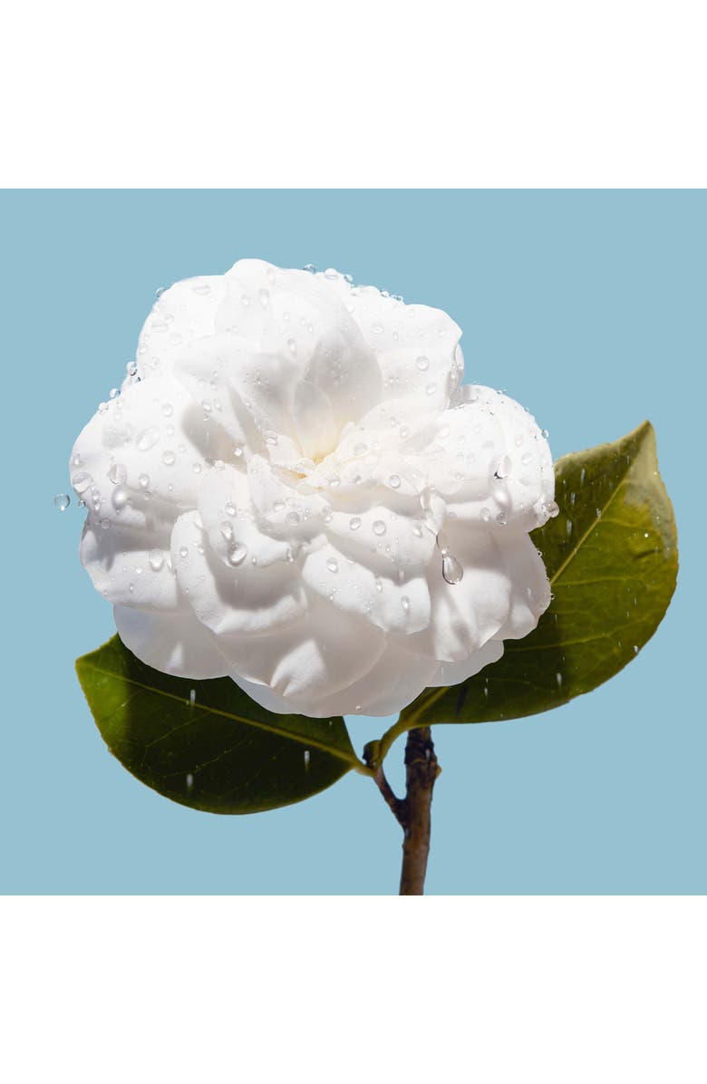 CHANEL HYDRA BEAUTY MICRO SÉRUM LÈVRES Intense Replenishing Lip Serum, Alternate, color, 