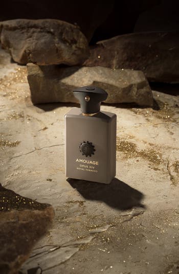 香水(ユニセックス) AMOUAGE OPUS XIV  TOBACCO 100ml Opus XIV Royal Tobacco – The House of Amouage