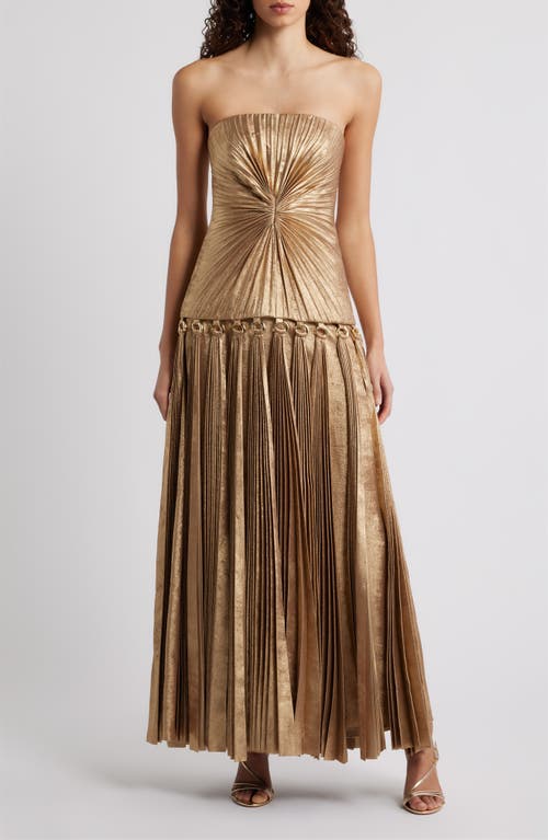 Acler Fintry Pleated Strapless Maxi Dress In Gold