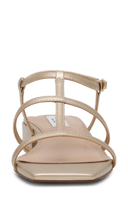 STEVEN NEW YORK STEVEN NEW YORK HAPI CAGED SANDAL 