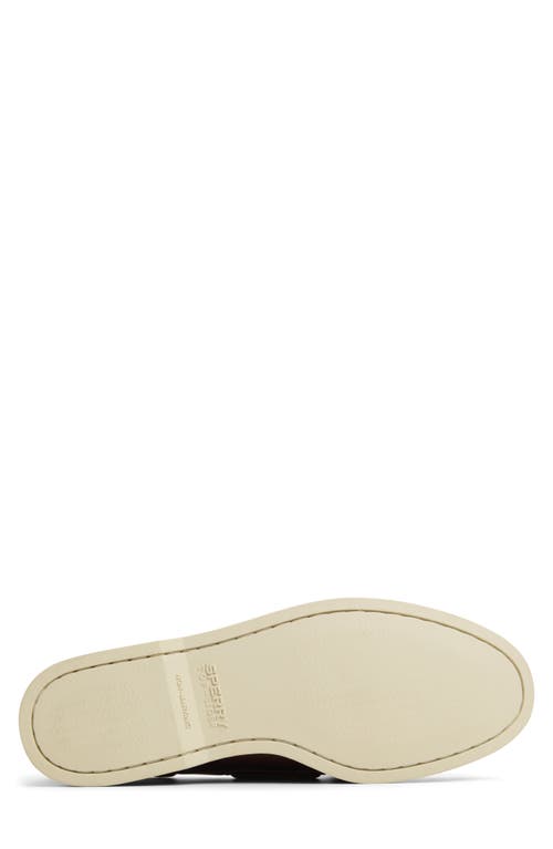 SPERRY SPERRY AUTHENTIC ORIGINAL 2-EYE BOAT SHOE 