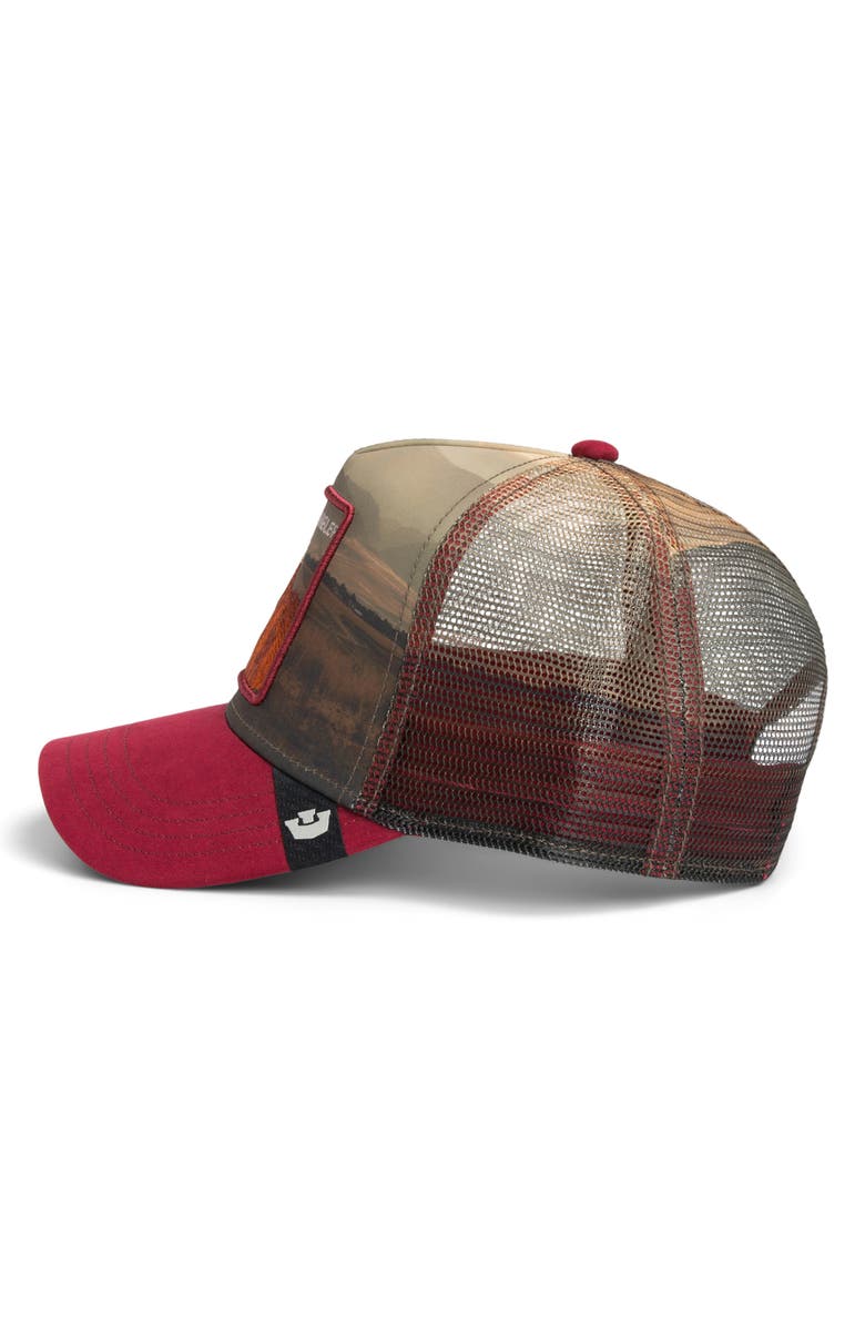 Goorin Bros. Stallion in the Element Patch Trucker Hat, Alternate, color, Crush