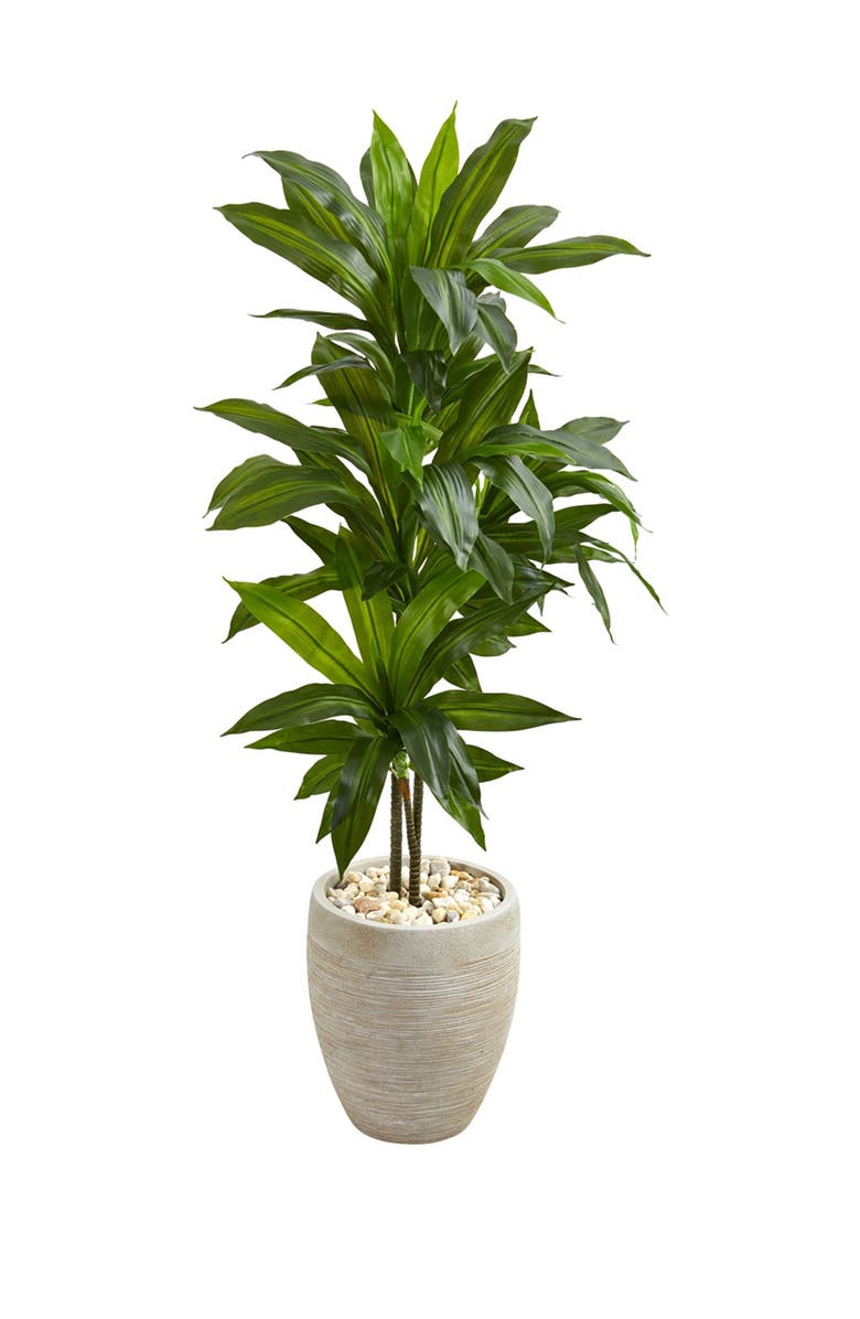 NEARLY NATURAL 4ft. Dracaena Artificial Plant in Sand Colored Planter - Real Touch, Main, color, 