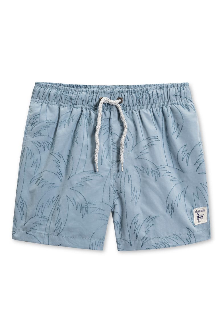 Kids' Palm Embroidered Volley Swim Trunks, Main, color, GRAY BLUE
