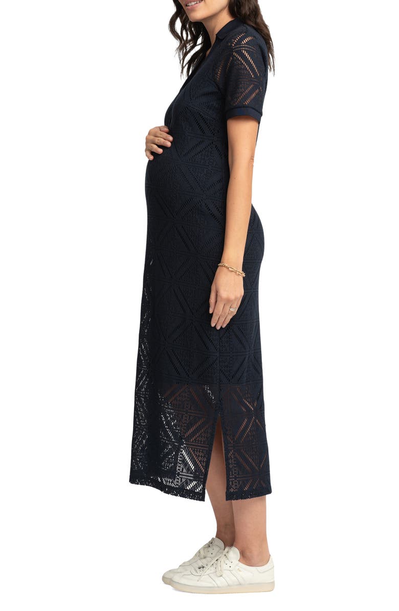 Seraphine Knit Nursing Maternity Dress, Alternate, color, 