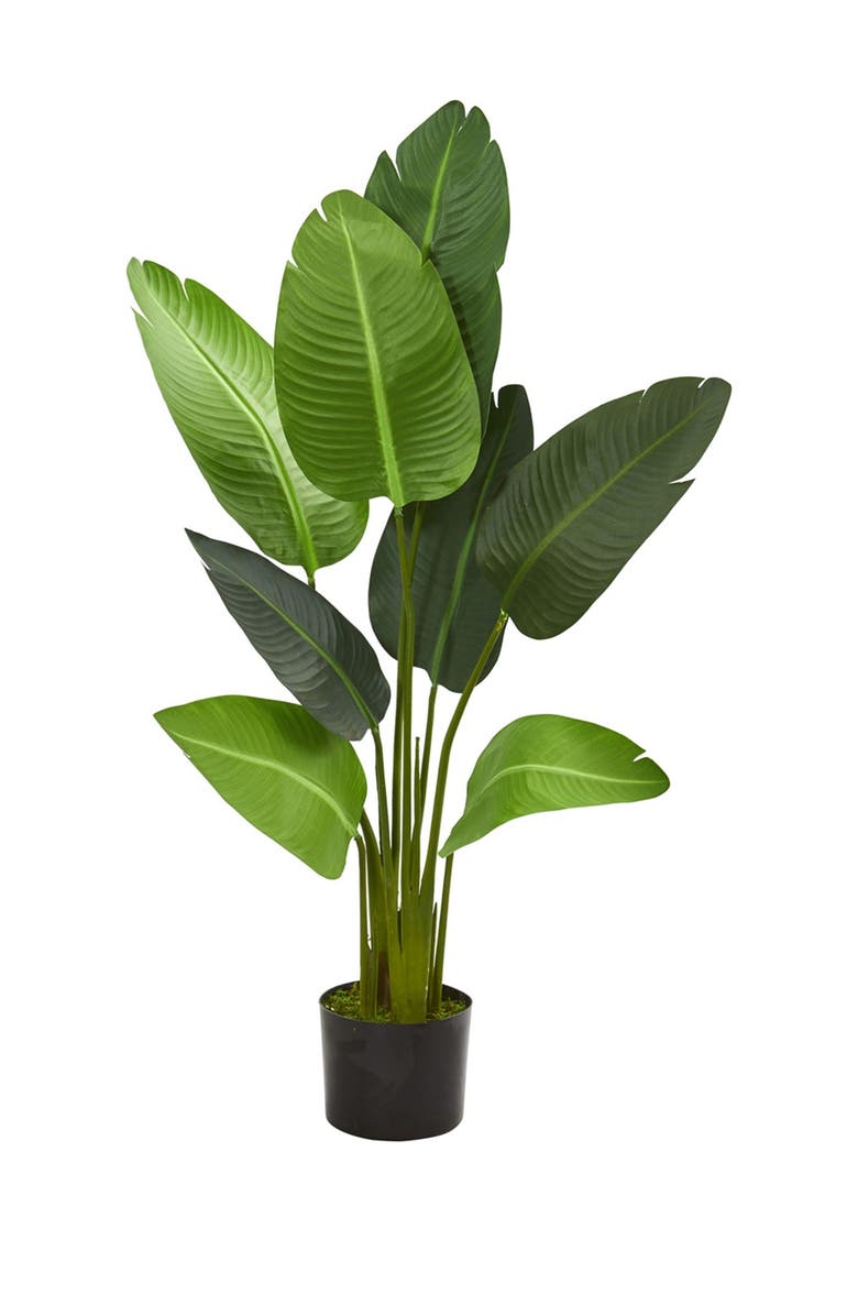 NEARLY NATURAL 4ft. Travelers Palm Artificial Tree, Main, color, 